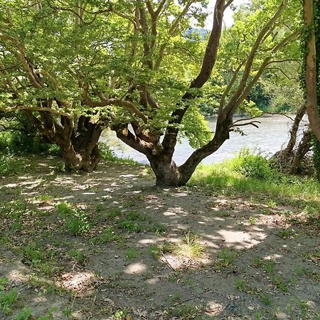 Bourazani Wild Life Resort Konitsa Bagian luar foto
