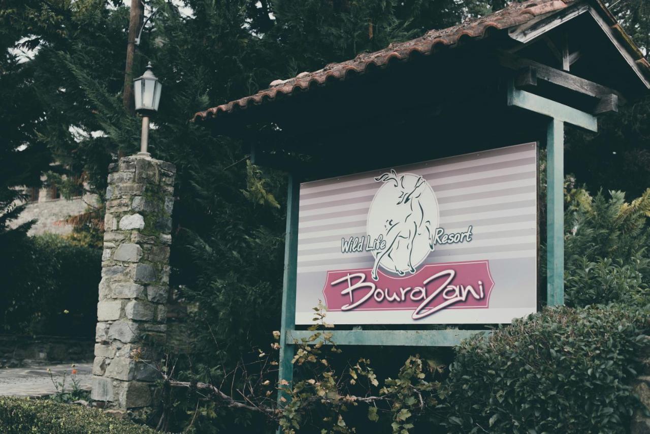 Bourazani Wild Life Resort Konitsa Bagian luar foto