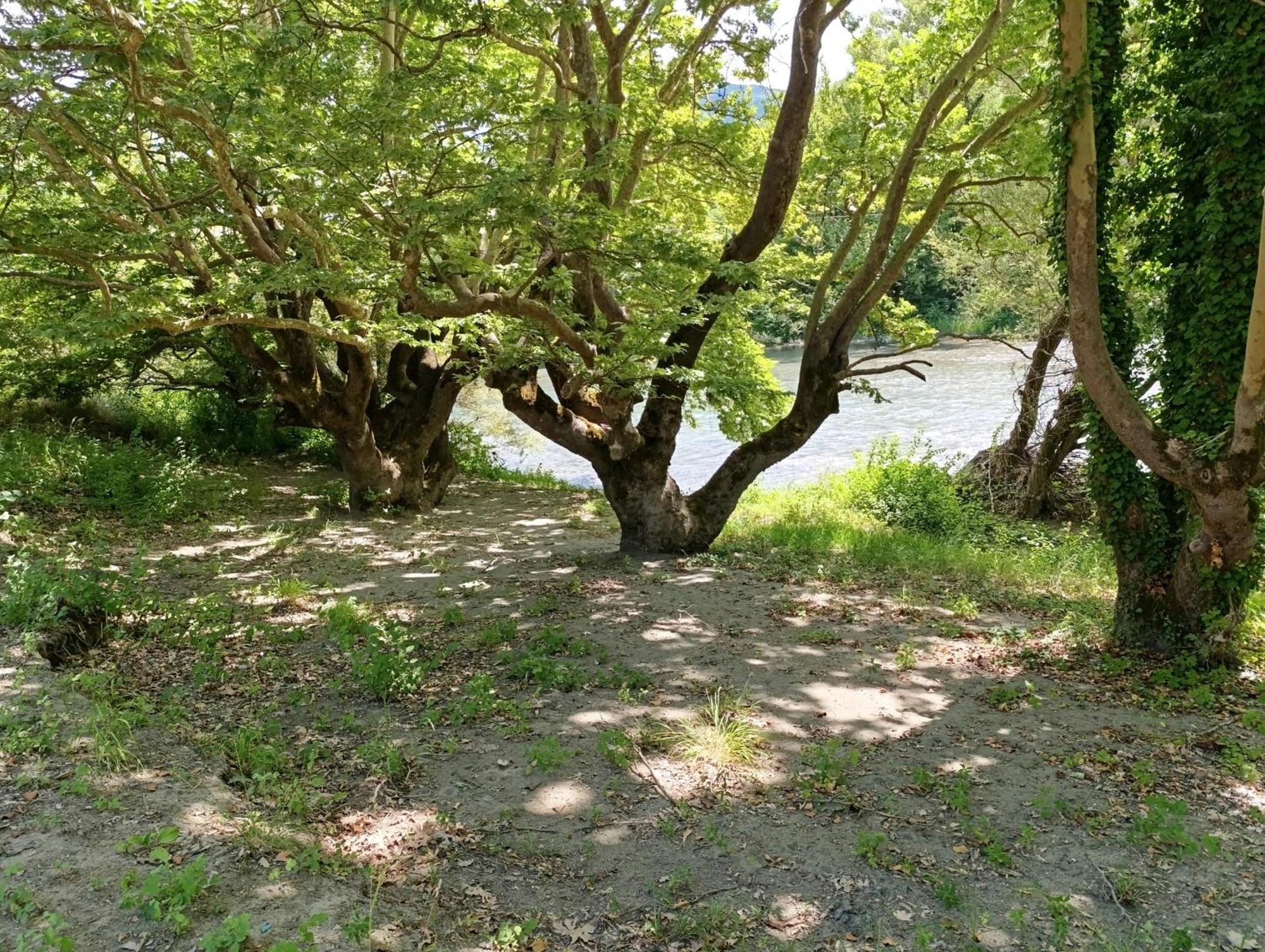 Bourazani Wild Life Resort Konitsa Bagian luar foto