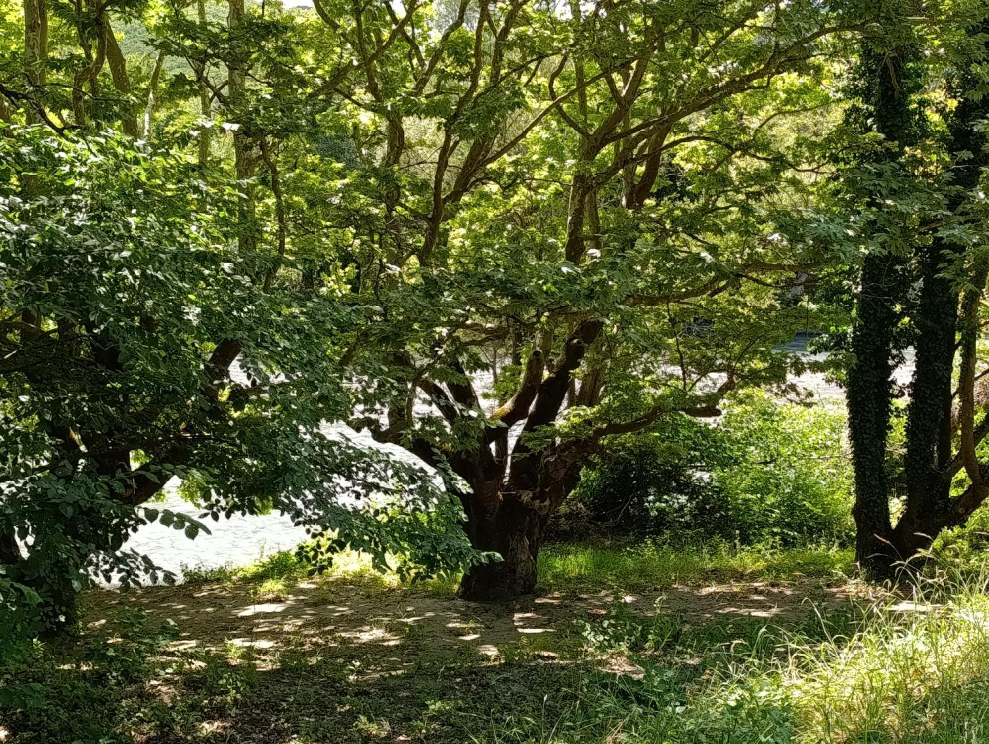 Bourazani Wild Life Resort Konitsa Bagian luar foto