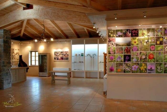 Bourazani Wild Life Resort Konitsa Bagian luar foto