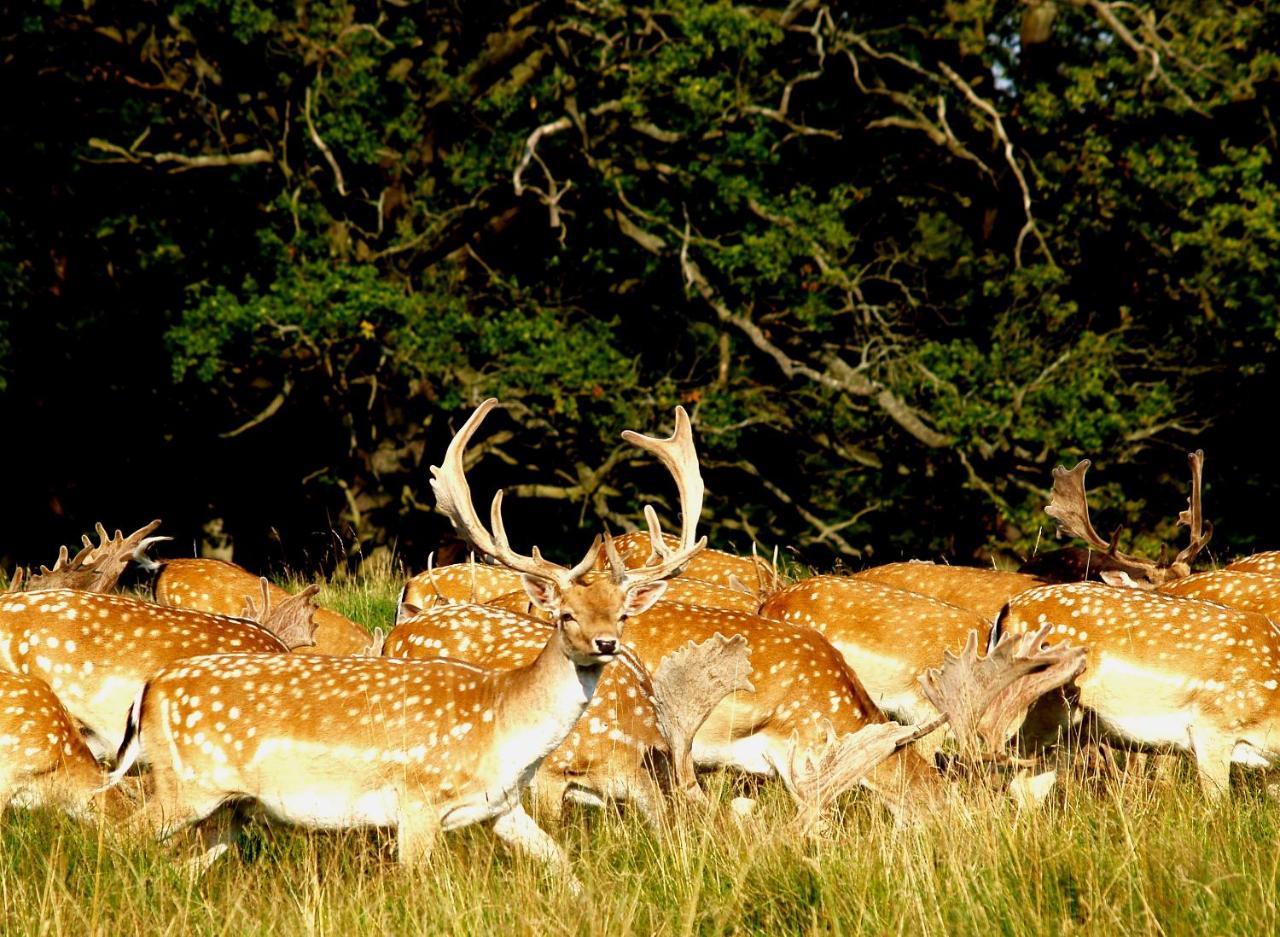 Bourazani Wild Life Resort Konitsa Bagian luar foto